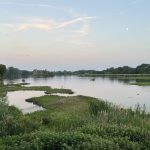 Column Jan van den Brink: Verbonden met de natuur