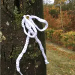Allerzielenviering in de Amersfoortse Zwaan op 2 november