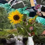 Vierklank oktober 2026: Natuurlijk!